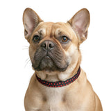 Red Heart Pattern Clip-on Pet Collar | Dog Cat Collar
