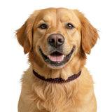 Red Heart Pattern Clip-on Pet Collar | Dog Cat Collar