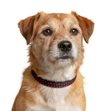 Red Heart Pattern Clip-on Pet Collar | Dog Cat Collar